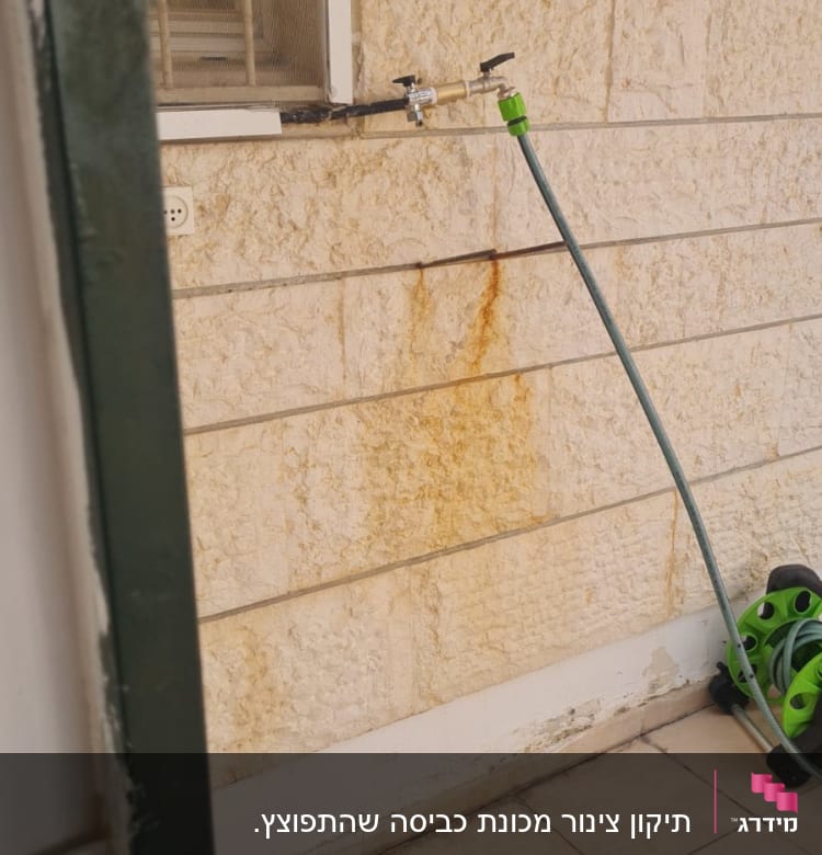 ברז מים עם צינור ירוק מחובר לקיר